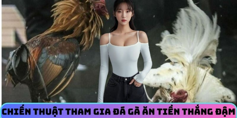 Chiến thuật tham gia đá gà ăn tiền thắng đậm