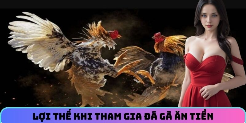 Lợi thế khi tham gia đá gà ăn tiền