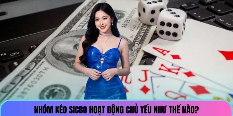 Nhóm kéo sicbo hoạt động chủ yếu như thế nào?
