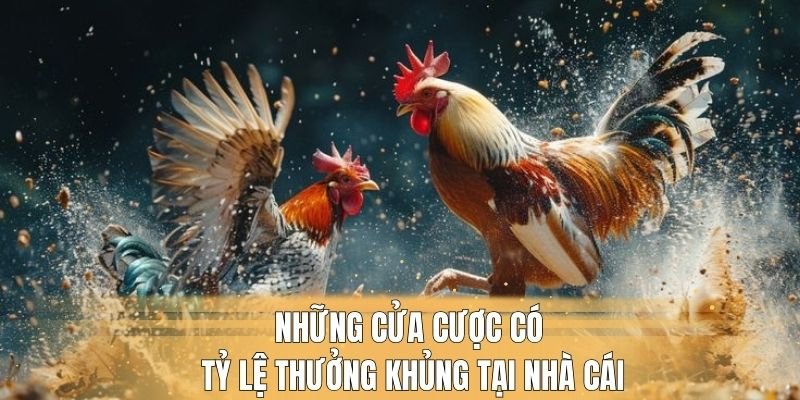 Những cửa cược có tỷ lệ thưởng khủng tại nhà cái