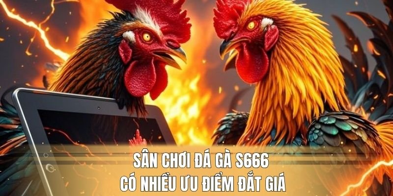 Sân chơi đá gà S666 có nhiều ưu điểm đắt giá 
