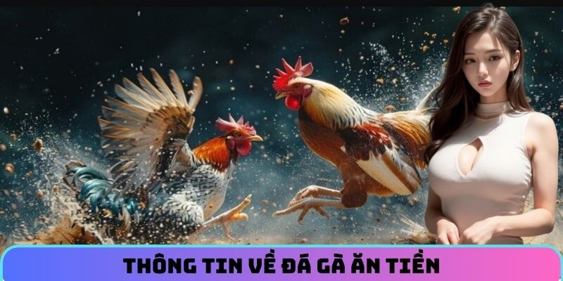 Thông tin về đá gà ăn tiền