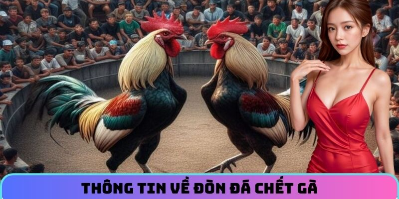 Thông tin về đòn đá chết gà