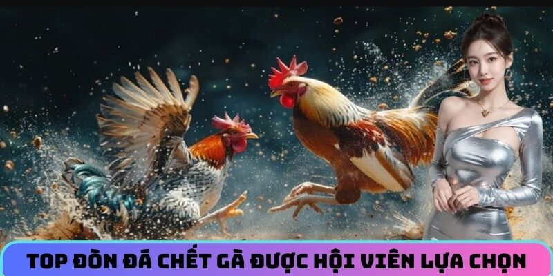 Top đòn đá chết gà được hội viên lựa chọn